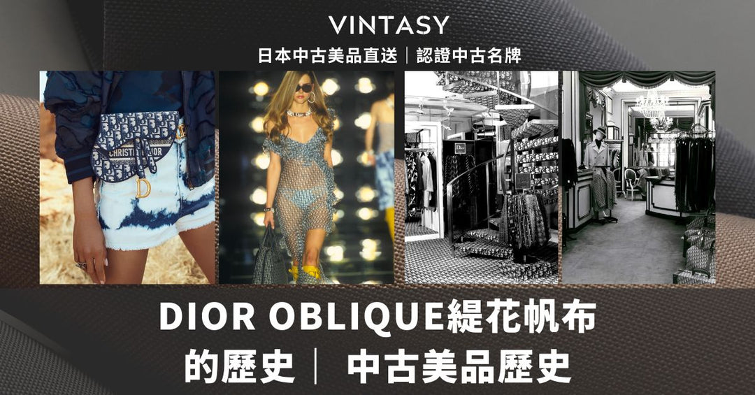 DIOR Oblique緹花帆布的歷史| 中古美品的歷史 - Vintasy