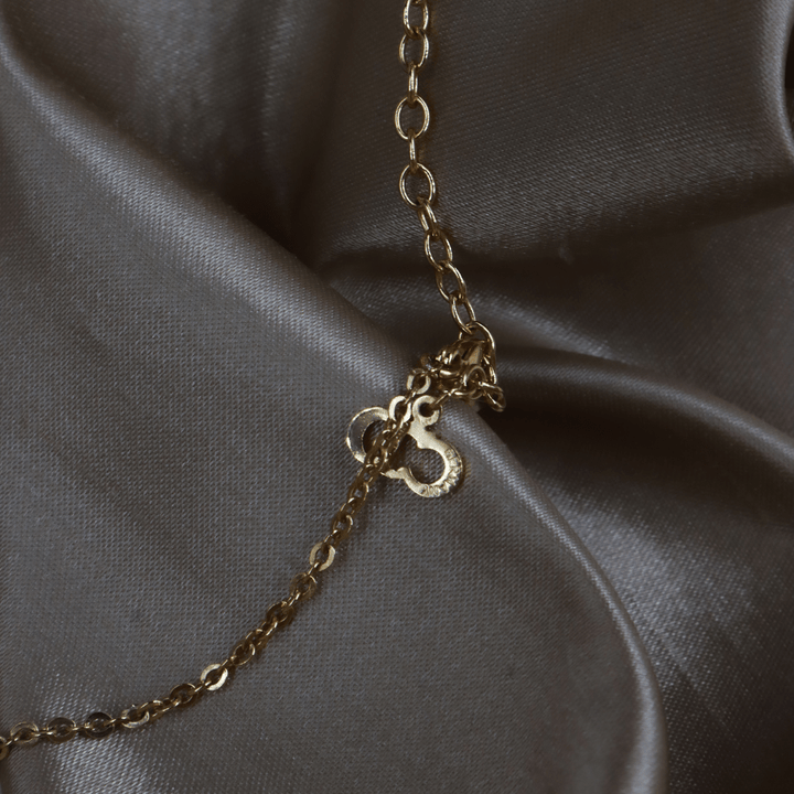 CHRISTIAN DIOR 心型經典項鏈 | 未使用級美品連原盒 - Vintasy項鏈