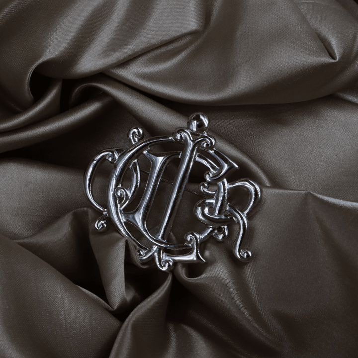 CHRISTIAN DIOR CD Logo 銀色花押胸針 - Vintasy