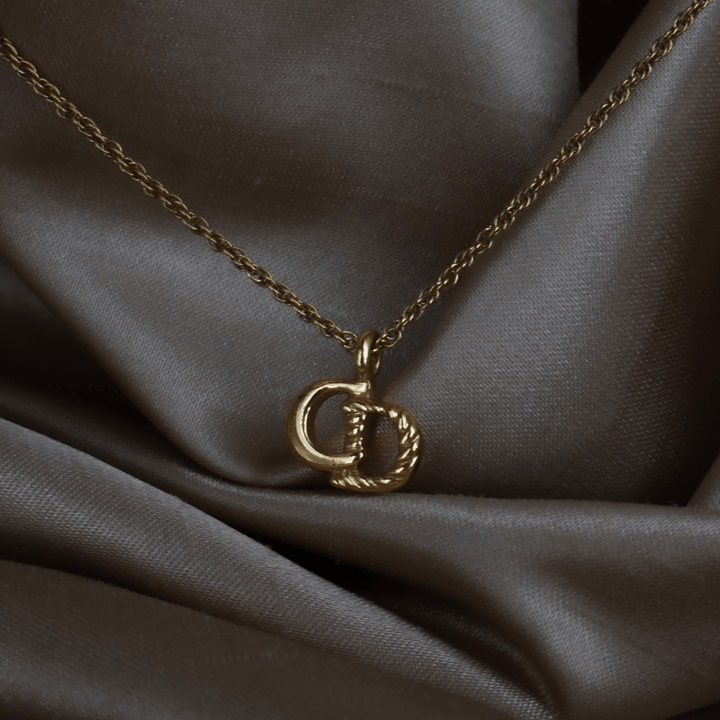 CHRISTIAN DIOR CD麻花吊墜項鏈 - Vintasy